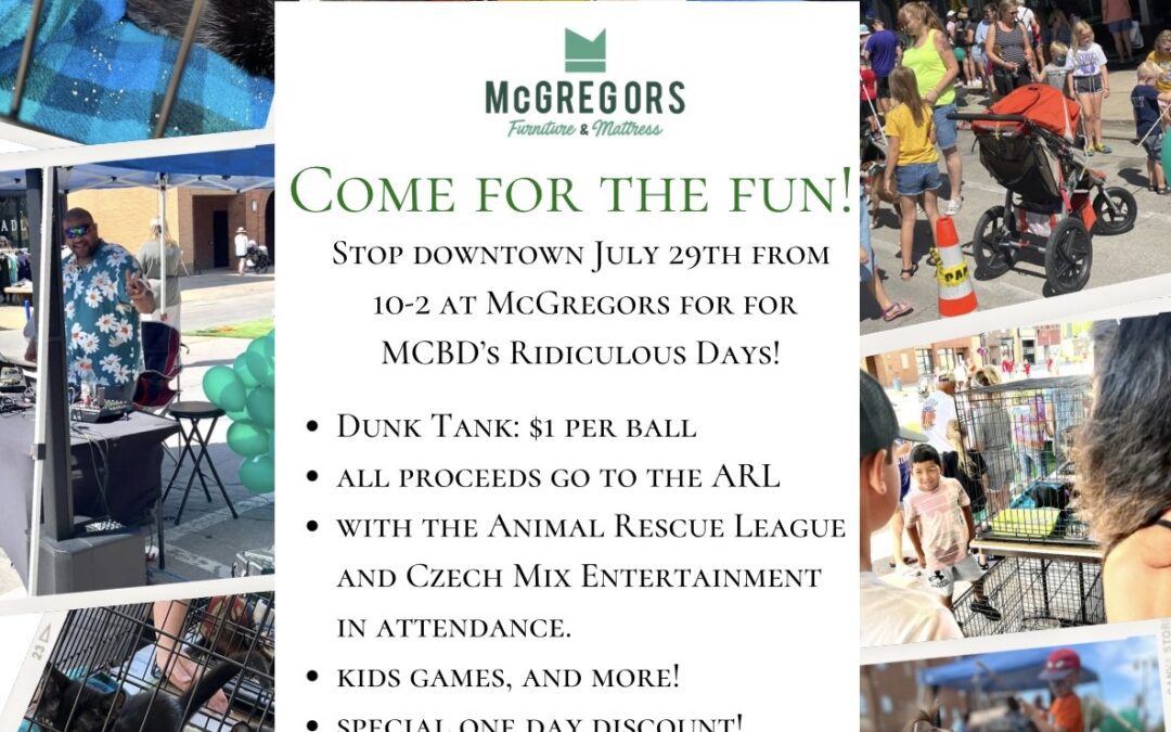 Bee Ridiculous Days!