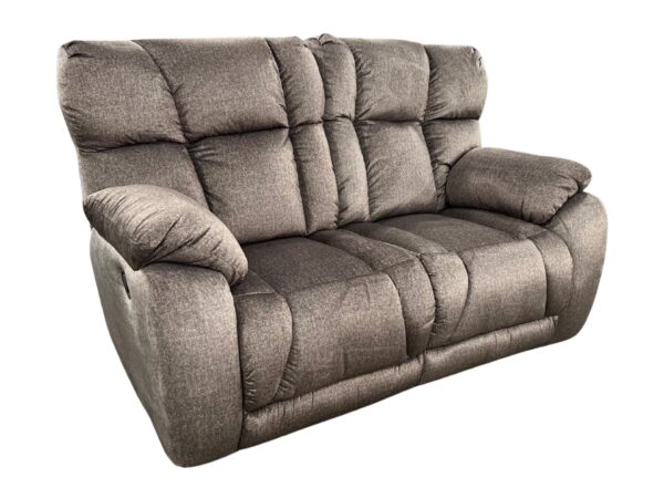 Wild Card Reclining Loveseat