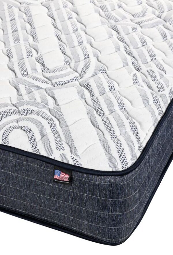 Carnation Euro'Top Backsense Mattress - Twin, Twin XL, Full, Queen, King, & More! - Image 3