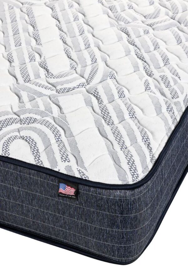 Carnation FIRM Backsense Mattress - Twin, Twin XL, Full, Queen, King, & More! - Image 3